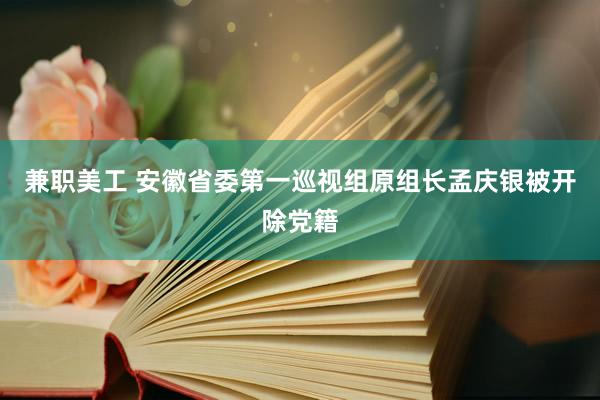 兼职美工 安徽省委第一巡视组原组长孟庆银被开除党籍